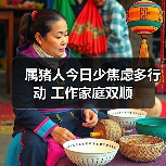 属猪人今日少焦虑多行动 工作家庭双顺（图4）