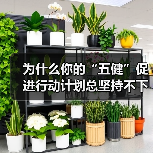 为什么你的“五健”促进行动计划总坚持不下来？（图3）