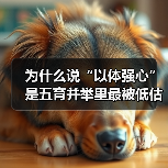 为什么说“以体强心”是五育并举里最被低估的一环?(图3) 为什么说“以体强心”是五育并举里最被低估的一环?(图3)