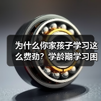 为什么你家孩子学习这么费劲?学龄期学习困难的真相(图4) 为什么你家孩子学习这么费劲?学龄期学习困难的真相(图4)