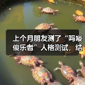 上个月朋友测了“吗喽傻乐者”人格测试,结果让人傻眼(图1) 上个月朋友测了“吗喽傻乐者”人格测试,结果让人傻眼(图1)