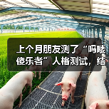 上个月朋友测了“吗喽傻乐者”人格测试,结果让人傻眼(图3) 上个月朋友测了“吗喽傻乐者”人格测试,结果让人傻眼(图3)