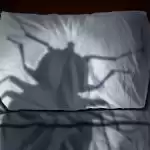 缩略图–夜里惊恐发作症状有哪些–焦虑症治疗
