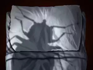 缩略图–夜里惊恐发作症状有哪些–辰飞雨焦虑症治疗方案