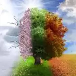 缩略图–阳光型抑郁症的危险表现–焦虑症治疗