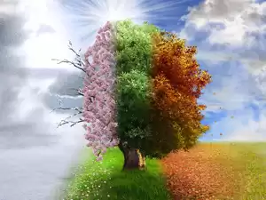 缩略图–阳光型抑郁症的危险表现–焦虑症治疗